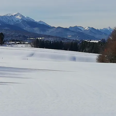 Zum Gimpei *