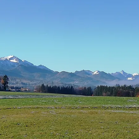 Zum Gimpei